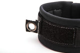 Limited Edition Sylock Wrist Leash - Multi Colours - CLICK HERE