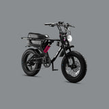 Flight Risk 555 - Multi Colours CLICK HERE