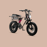 Flight Risk 555 - Multi Colours CLICK HERE