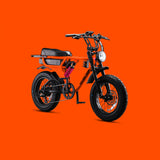 Flight Risk 555 - Multi Colours CLICK HERE