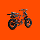 Flight Risk 555 - Multi Colours CLICK HERE