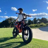 Flight Risk 555 - Multi Colours CLICK HERE