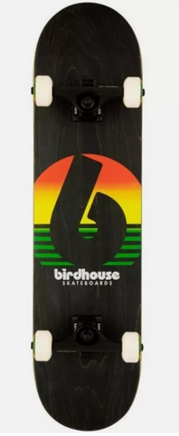 Birdhouse Sunset Rasta 7.7